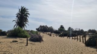 2023-GC--Mapalomas dunas-S123-237.jpg